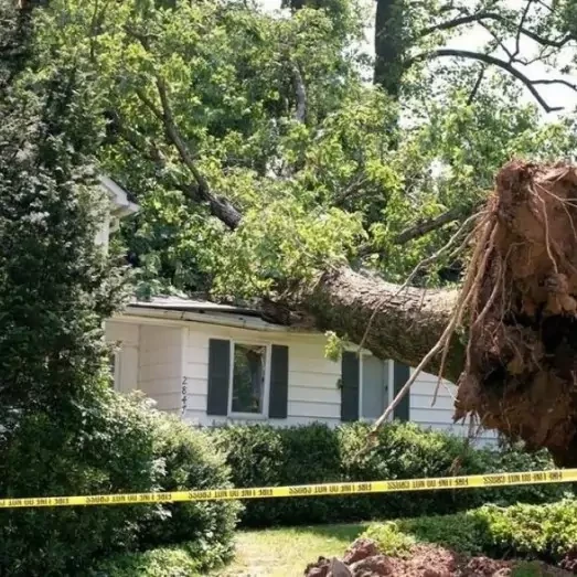 Storm & Wind Damage Repair Services in Allen, TX